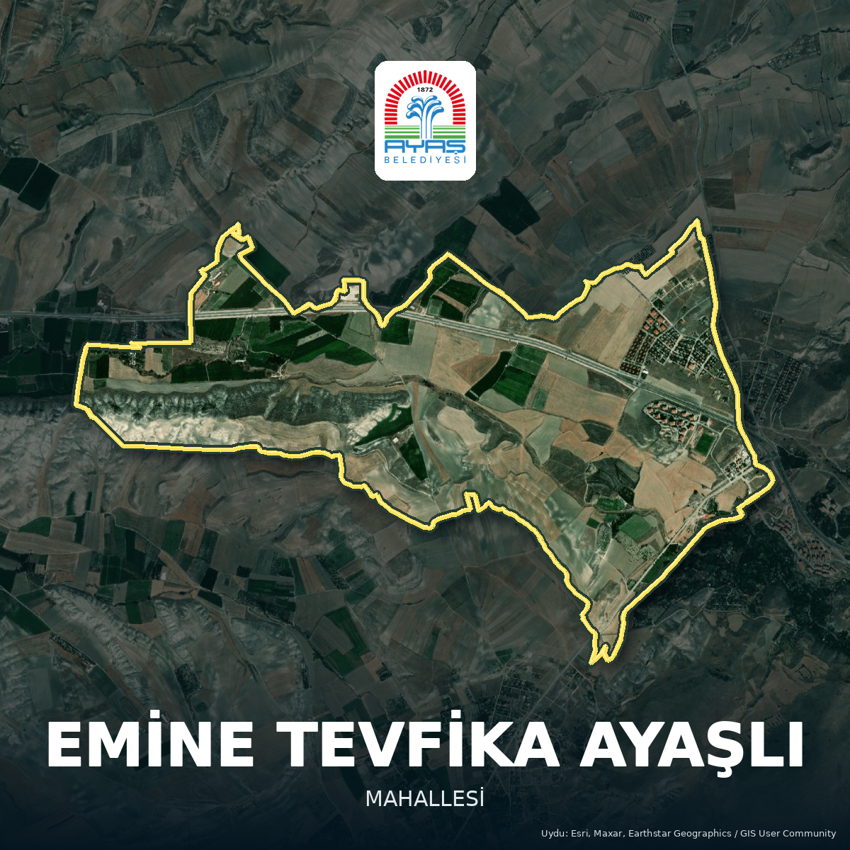 Şükrü PEKTAŞ