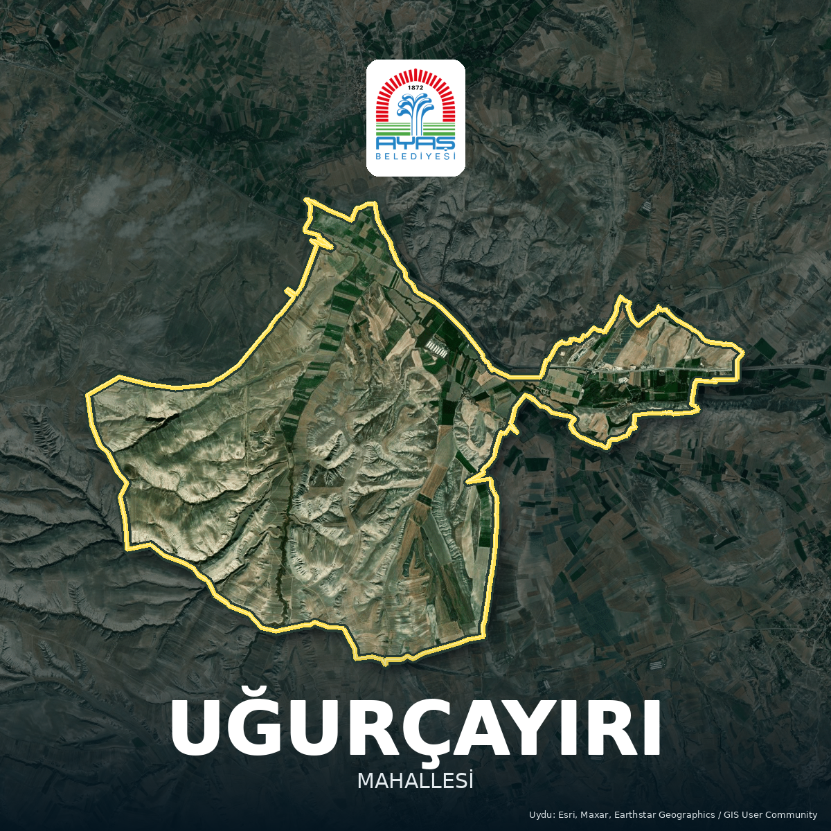 Şükrü BALÇİÇEK
